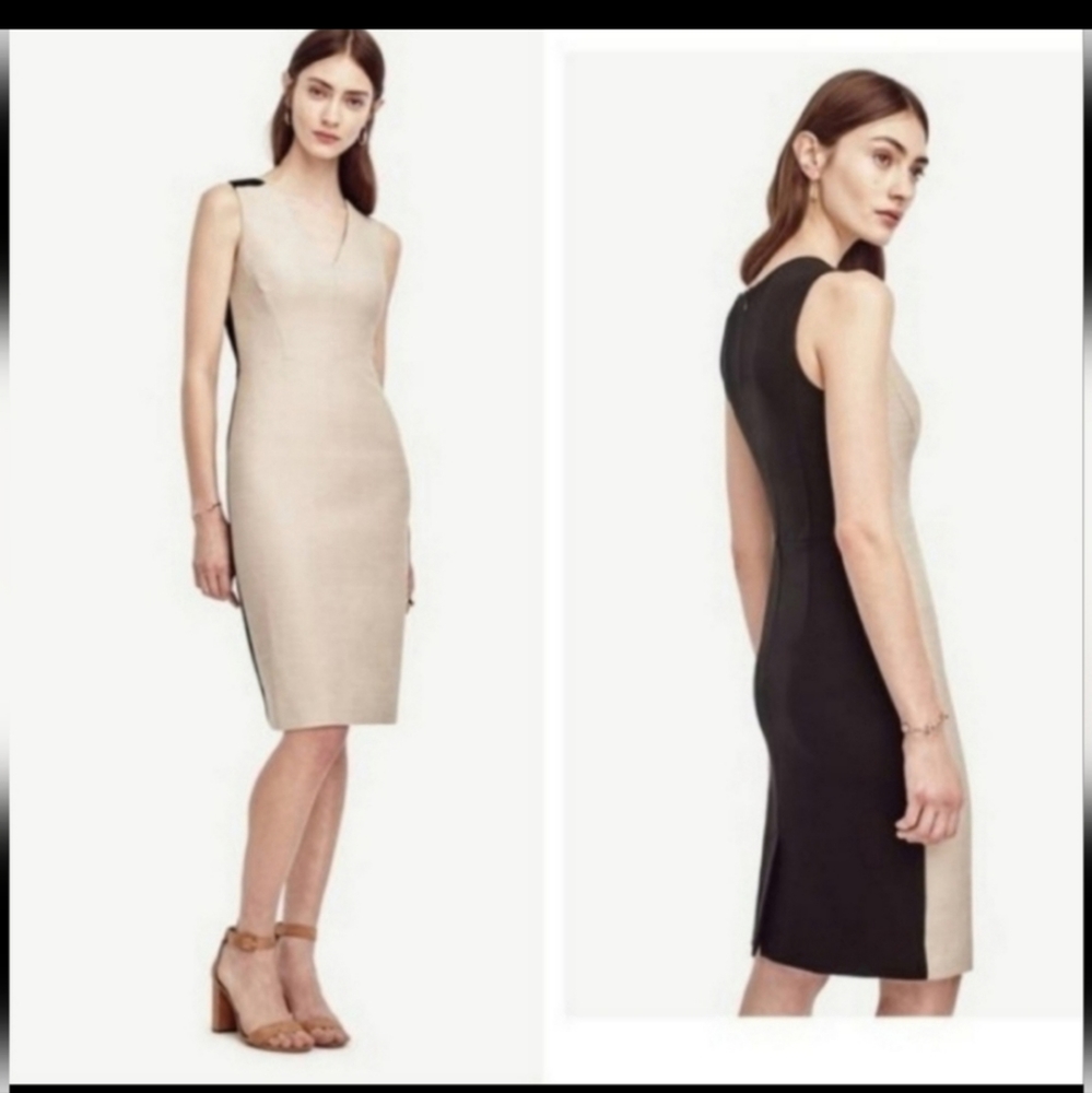 Ann Taylor Cream/Black Ponte Sheath Mid-length